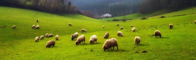 Un dimanche à la campagne :)