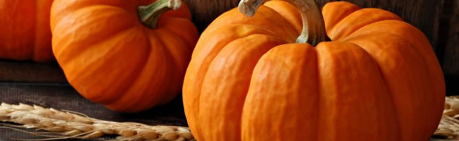 INFORMATION SUR LES VACANCES D'AUTOMNE INFORMATION SUR LES VACANCES D'AUTOMNE